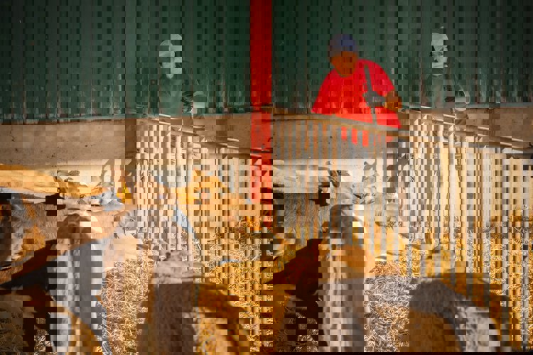 Důsledky pro chovatele