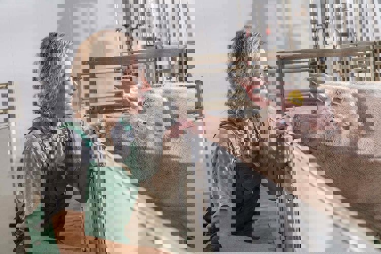 Hrozba pro celkové zdraví a vývoj