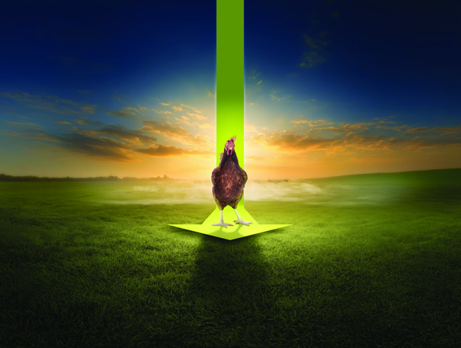 MyEggPrint - osvědčená a ověřená metodika