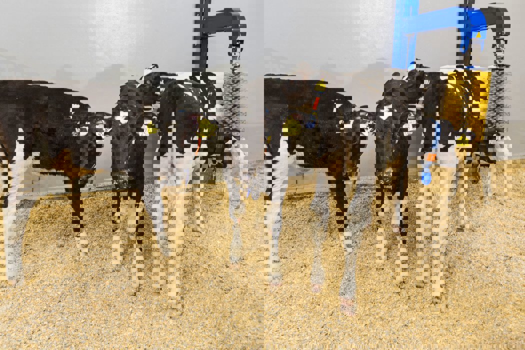 Nejmodernější vybavení