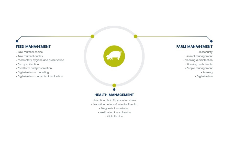 Mikrobiální rezistence