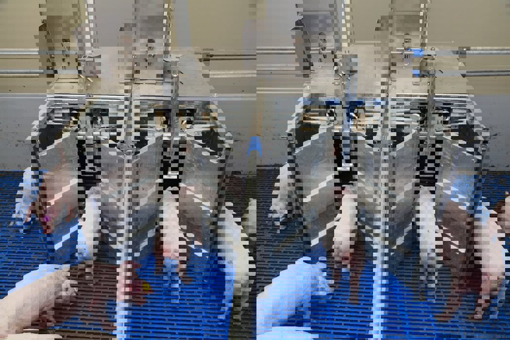 Navrženo k sledování jednotlivých zvířat