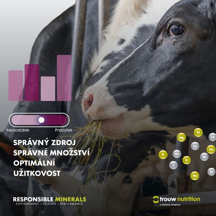 Minerály v rovnováze - produkty Maxcare