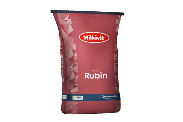 Milkivit Rubin