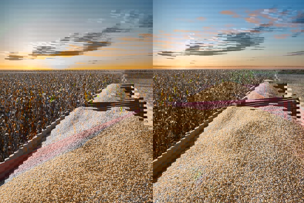 Hygiena a kvalita surovin