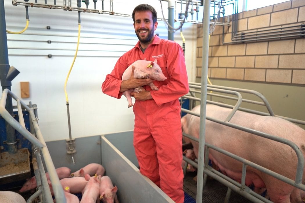 Zdraví a pohoda zvířat