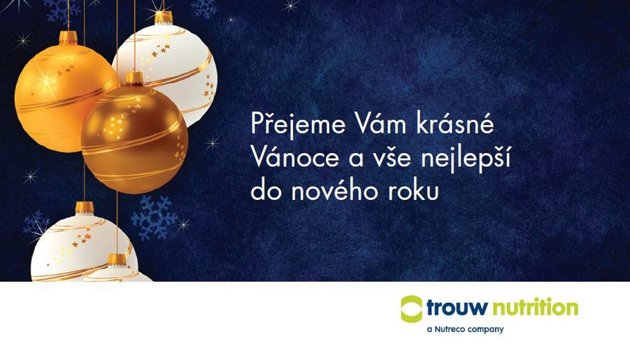 Krásné Vánoce a hodně štěstí v roce 2025