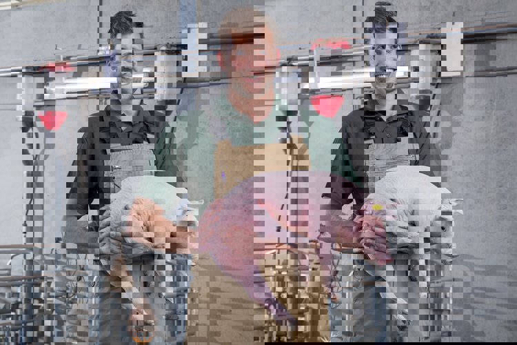 Důsledky pro chovatele 
