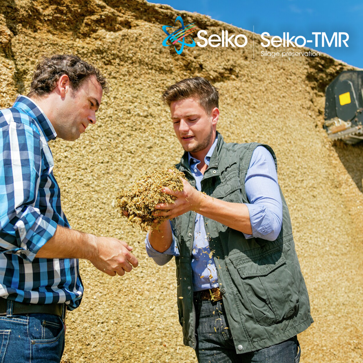 Selko - nové informace a brožura