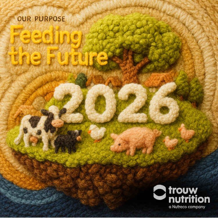 Krásné Vánoce a hodně štěstí v roce 2026