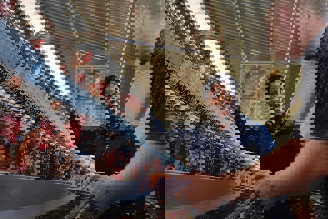 Vědecky podložené programy s inovacemi