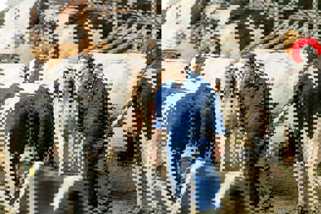 Důsledky pro chovatele