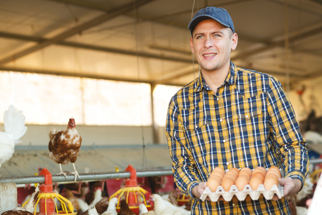 Farmář držící tác s vejci se slepicemi v pozadí