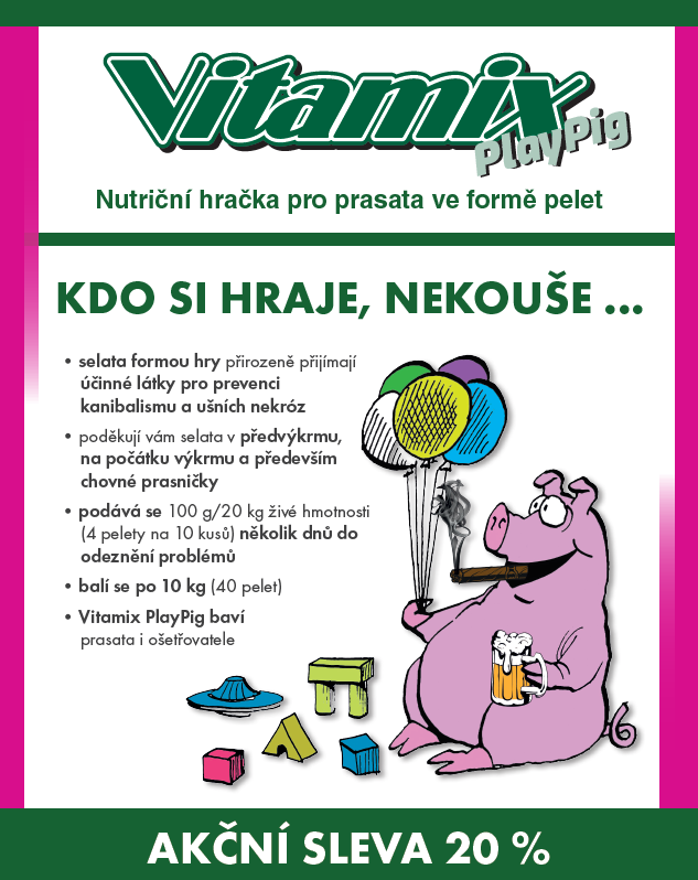 imagebma9n.png