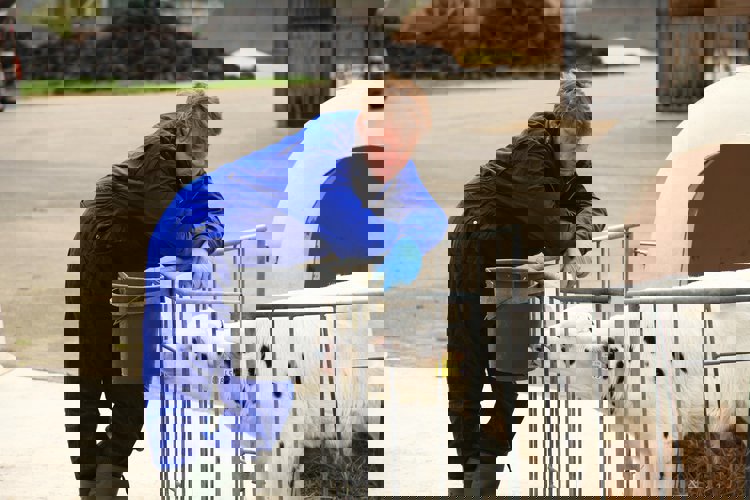 Zdraví od začátku