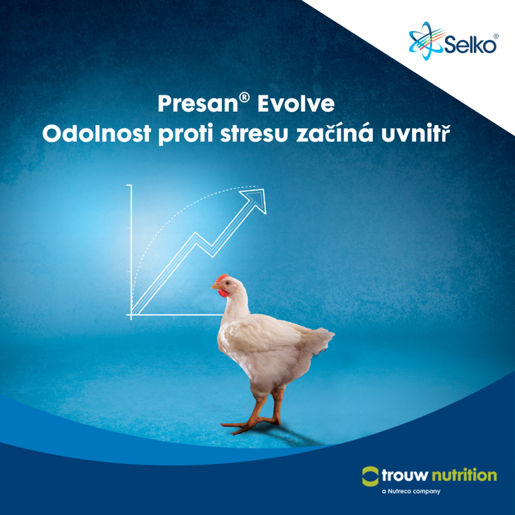 Presan Evolve - nové informace