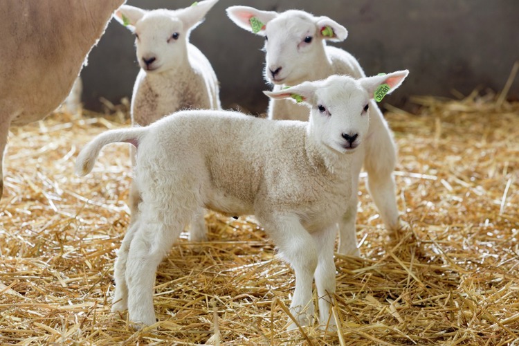 Aktualizovaný katalog produktů malého balení ke stažení