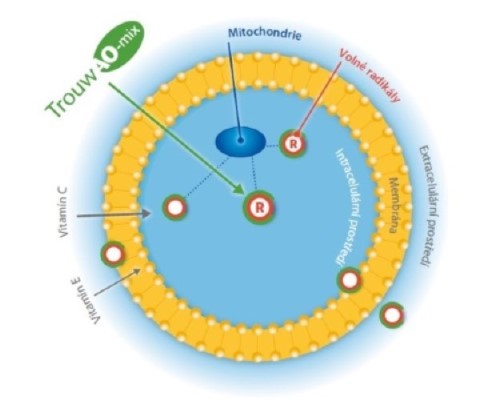 How-Trouw-AO-mix-works-CZECH.jpg-TN-00994.jpg